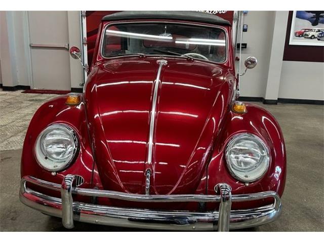 1964 Volkswagen Beetle (CC-2076165) for sale in Cadillac, Michigan