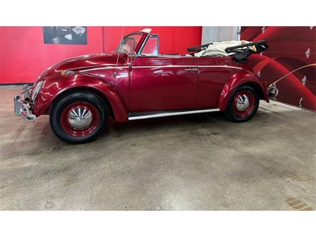 1964 Volkswagen Beetle (CC-2076165) for sale in Cadillac, Michigan
