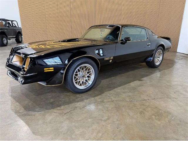 1976 Pontiac Firebird (CC-2076171) for sale in Cadillac, Michigan