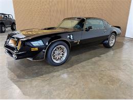 1976 Pontiac Firebird (CC-2076171) for sale in Cadillac, Michigan