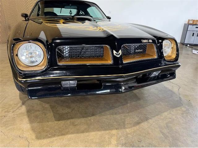 1976 Pontiac Firebird (CC-2076171) for sale in Cadillac, Michigan