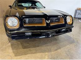 1976 Pontiac Firebird (CC-2076171) for sale in Cadillac, Michigan