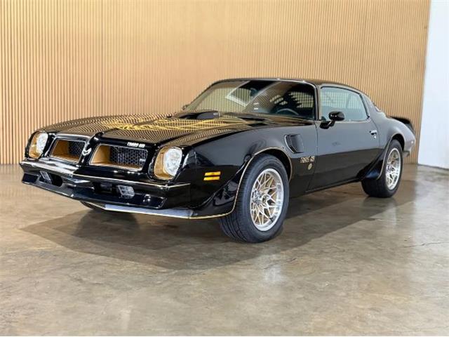 1976 Pontiac Firebird (CC-2076171) for sale in Cadillac, Michigan