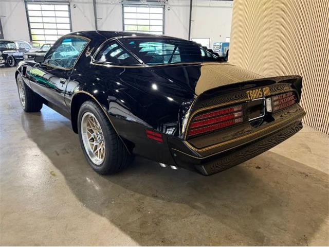 1976 Pontiac Firebird (CC-2076171) for sale in Cadillac, Michigan