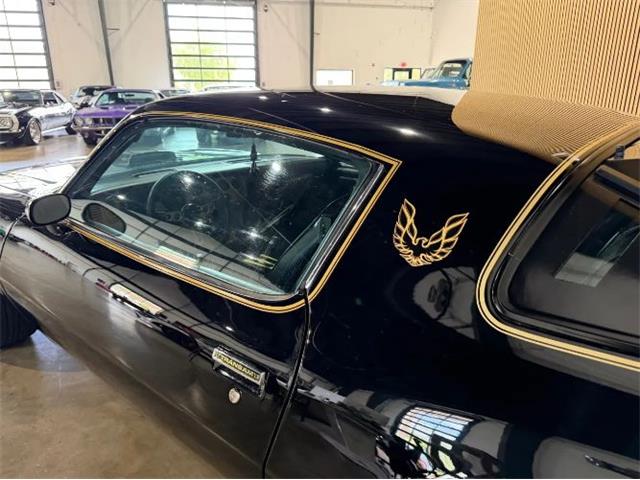 1976 Pontiac Firebird (CC-2076171) for sale in Cadillac, Michigan