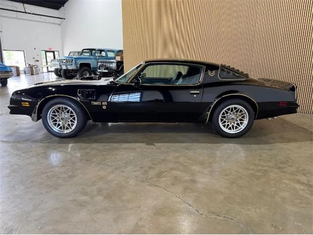 1976 Pontiac Firebird (CC-2076171) for sale in Cadillac, Michigan