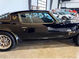1976 Pontiac Firebird (CC-2076171) for sale in Cadillac, Michigan