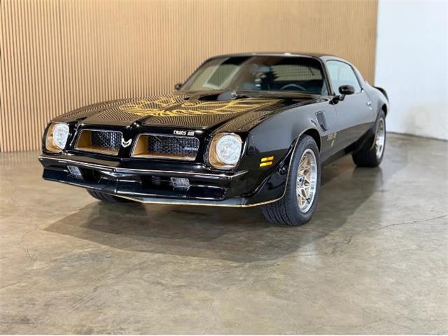 1976 Pontiac Firebird (CC-2076171) for sale in Cadillac, Michigan