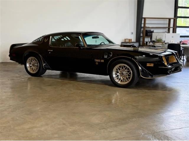 1976 Pontiac Firebird (CC-2076171) for sale in Cadillac, Michigan
