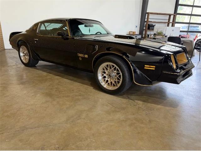 1976 Pontiac Firebird (CC-2076171) for sale in Cadillac, Michigan