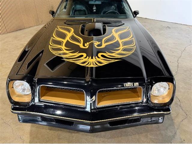1976 Pontiac Firebird (CC-2076171) for sale in Cadillac, Michigan
