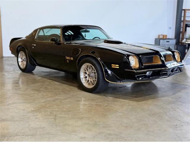 1976 Pontiac Firebird (CC-2076171) for sale in Cadillac, Michigan