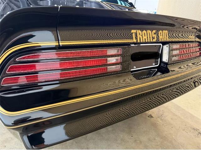 1976 Pontiac Firebird (CC-2076171) for sale in Cadillac, Michigan