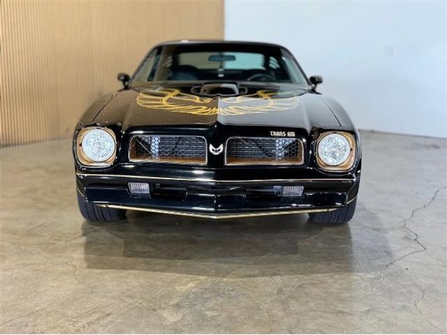 1976 Pontiac Firebird (CC-2076171) for sale in Cadillac, Michigan