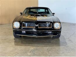 1976 Pontiac Firebird (CC-2076171) for sale in Cadillac, Michigan