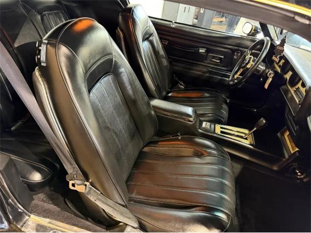 1976 Pontiac Firebird (CC-2076171) for sale in Cadillac, Michigan