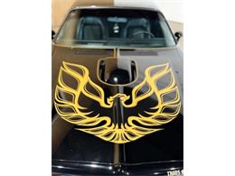 1976 Pontiac Firebird (CC-2076171) for sale in Cadillac, Michigan