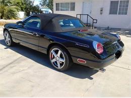 2002 Ford Thunderbird (CC-2076174) for sale in Cadillac, Michigan