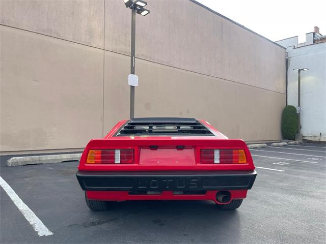 1986 Lotus Esprit (CC-2076208) for sale in Astoria, New York