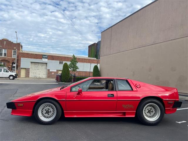 1986 Lotus Esprit (CC-2076208) for sale in Astoria, New York