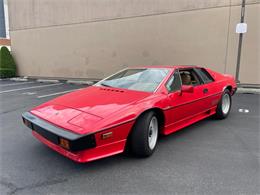 1986 Lotus Esprit (CC-2076208) for sale in Astoria, New York