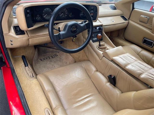 1986 Lotus Esprit (CC-2076208) for sale in Astoria, New York