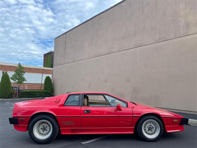 1986 Lotus Esprit (CC-2076208) for sale in Astoria, New York