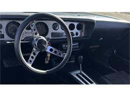 1978 Pontiac Firebird Trans Am (CC-2076238) for sale in Mesa, Arizona