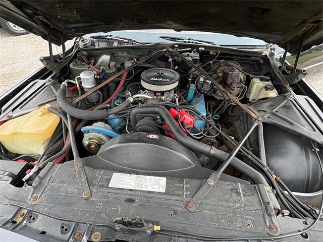 1978 Cadillac Coupe DeVille (CC-2076250) for sale in Nashville, Illinois