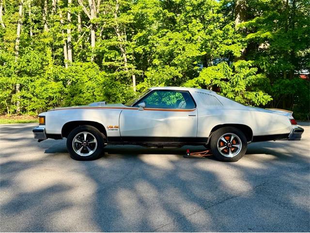 1977 Pontiac Can Am (CC-2076301) for sale in Saugatuck, Michigan