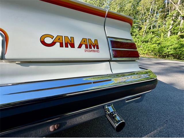 1977 Pontiac Can Am (CC-2076301) for sale in Saugatuck, Michigan