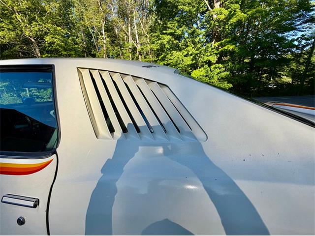 1977 Pontiac Can Am (CC-2076301) for sale in Saugatuck, Michigan