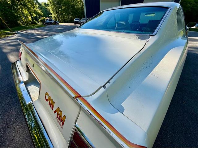 1977 Pontiac Can Am (CC-2076301) for sale in Saugatuck, Michigan