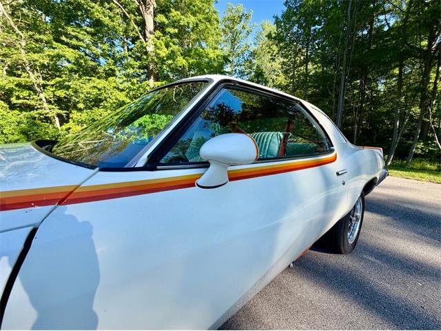 1977 Pontiac Can Am (CC-2076301) for sale in Saugatuck, Michigan