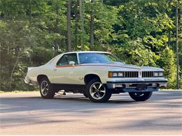 1977 Pontiac Can Am (CC-2076301) for sale in Saugatuck, Michigan