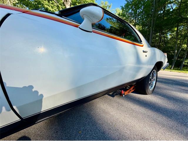 1977 Pontiac Can Am (CC-2076301) for sale in Saugatuck, Michigan