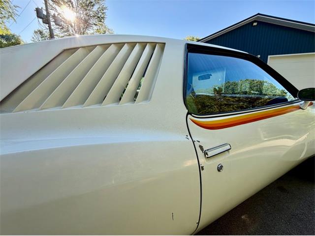 1977 Pontiac Can Am (CC-2076301) for sale in Saugatuck, Michigan