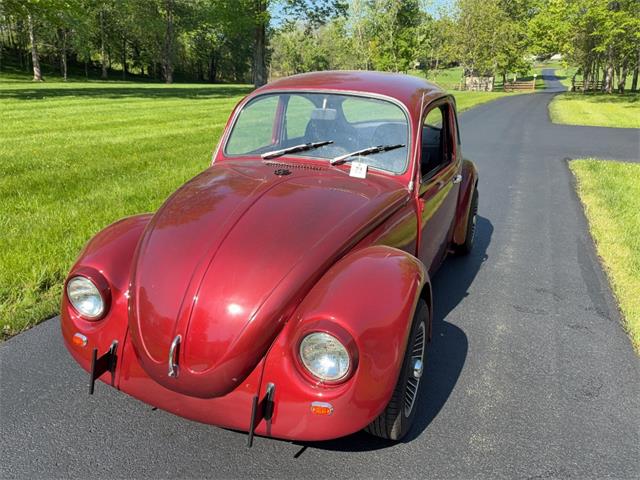 1971 Volkswagen Beetle (CC-2076333) for sale in Akron, Ohio