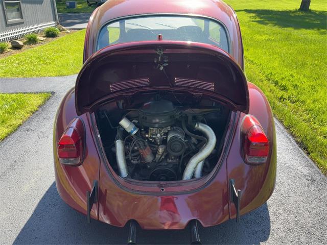 1971 Volkswagen Beetle (CC-2076333) for sale in Akron, Ohio