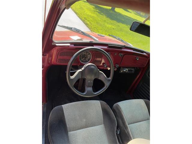 1971 Volkswagen Beetle (CC-2076333) for sale in Akron, Ohio