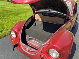 1971 Volkswagen Beetle (CC-2076333) for sale in Akron, Ohio