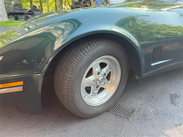 1981 Chevrolet Corvette (CC-2076336) for sale in Akron, Ohio
