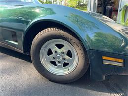 1981 Chevrolet Corvette (CC-2076336) for sale in Akron, Ohio