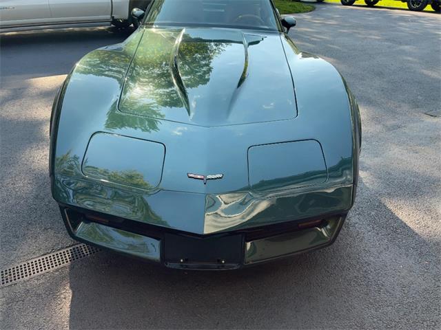 1981 Chevrolet Corvette (CC-2076336) for sale in Akron, Ohio