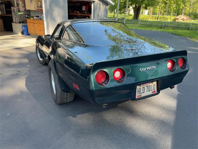 1981 Chevrolet Corvette (CC-2076336) for sale in Akron, Ohio