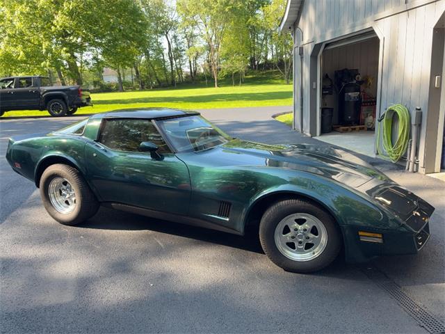 1981 Chevrolet Corvette (CC-2076336) for sale in Akron, Ohio