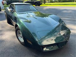 1981 Chevrolet Corvette (CC-2076336) for sale in Akron, Ohio
