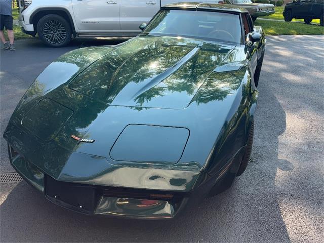 1981 Chevrolet Corvette (CC-2076336) for sale in Akron, Ohio