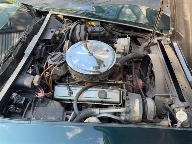 1981 Chevrolet Corvette (CC-2076336) for sale in Akron, Ohio
