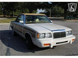 1986 Chrysler LeBaron (CC-2070637) for sale in Lake Mary, Florida